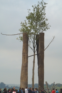 Exposition Penone - Versailles 2013