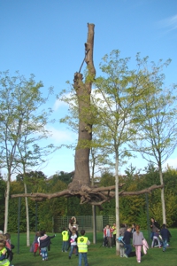 Exposition Penone - Versailles 2013