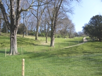 Parc des buttes Chamond